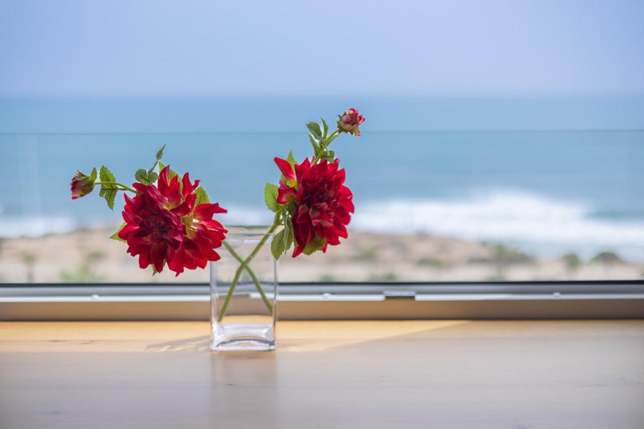 Fidalsa Paradise Sea Punta Prima 托雷维耶哈 外观 照片
